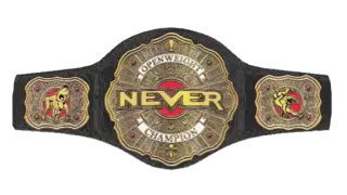 NEVER Openweight Championship