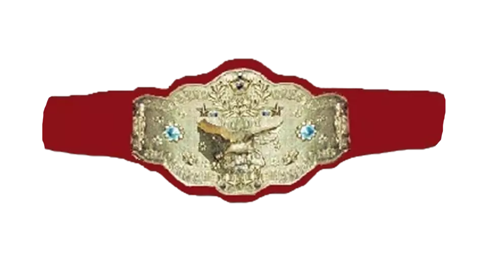 WWF Women's Tag Team Championship - WWE Title History