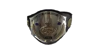 NWA World Junior Heavyweight Championship