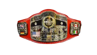 NWA World Junior Heavyweight Championship