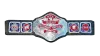 NWA World Television Championship