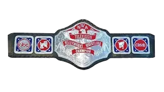 NWA World Television Championship