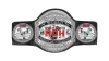 ROH World Championship