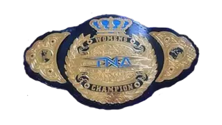 TNA Knockouts Championship