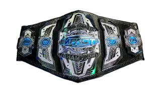 Impact Knockouts Championship