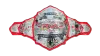 TNA World Tag Team Championship TNA World Tag Team Championship