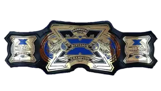 TNA X Division Championship