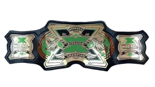 TNA X Division Championship