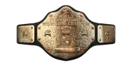 WWE SmackDown vs. Raw 2011: Championship Titles List