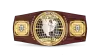 NXT North American Championship