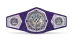 WWE Cruiserweight Championship