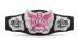 WWE Divas Championship