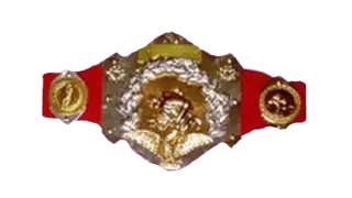 WWF Intercontinental Heavyweight Championship