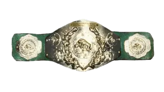 WWF Intercontinental Heavyweight Championship