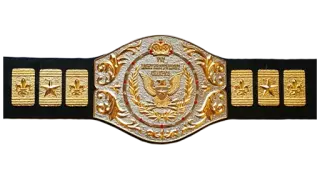 WWF Light Heavyweight Championship