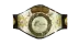 WWF North American Heavyweight Championship