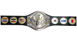 WWF World Martial Arts Heavyweight Championship