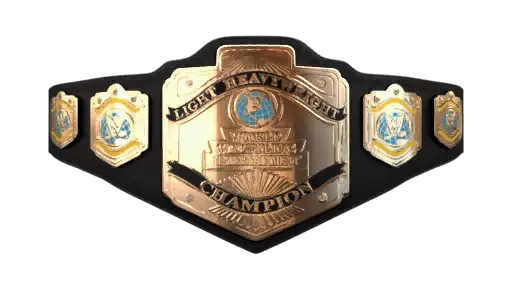 WWF Light Heavyweight Championship - WWE Title History