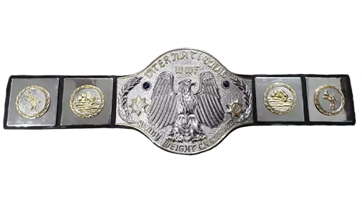 WWF International Heavyweight Championship - WWE Title History