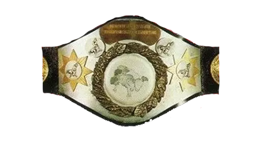 WWF North American Heavyweight Championship - WWE Title History