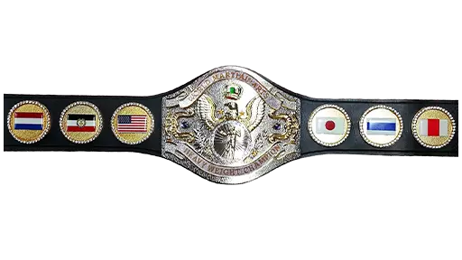 WWF World Martial Arts Heavyweight Championship - WWE Title History