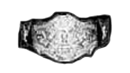 WWWF International Tag Team Championship - WWE Title History