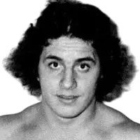 Bret Hart