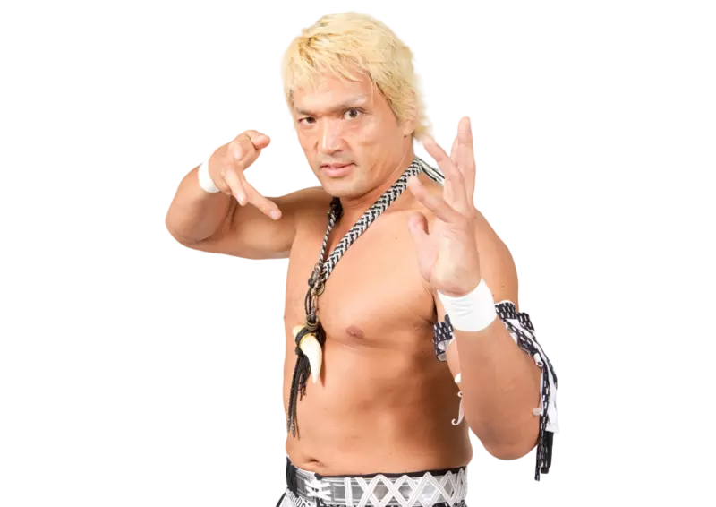 Akira Nogami / AKIRA - Pro Wrestler Profile