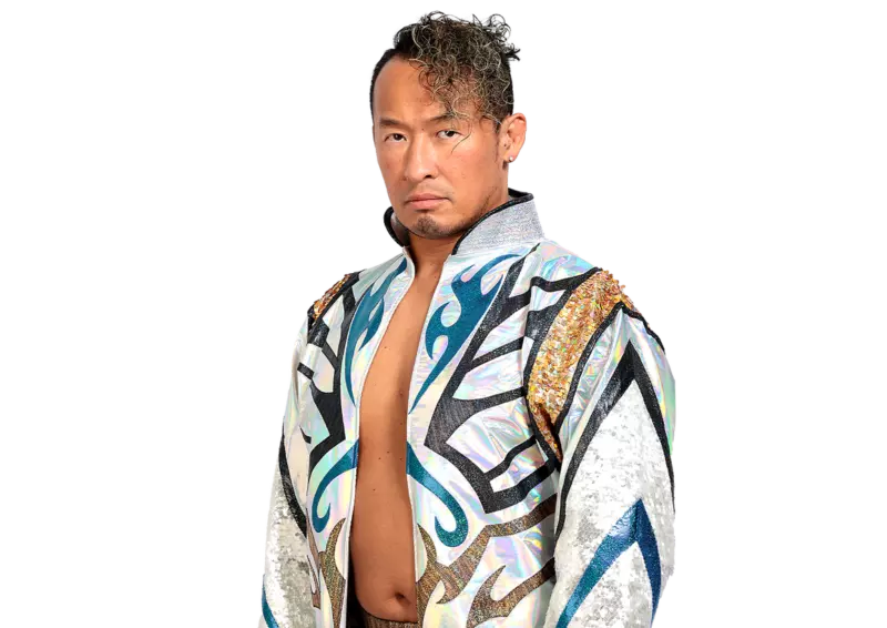 Naomichi Marufuji - Pro Wrestlers Database