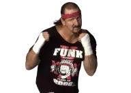 Terry funk