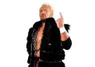 Togi makabe new