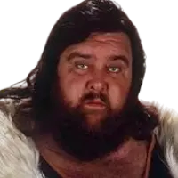 Giant Haystacks: Profile, Career Stats, Face/Heel Turns, Titles Won ...