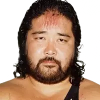 Tarzan Goto