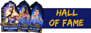 Hall Of Fame Cards