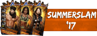 SummerSlam '17 Cards (132)