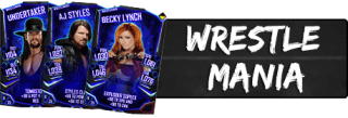 WrestleMania Cards (104)