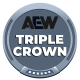 AEW Triple Crown Champion AEW Triple Crown Champion