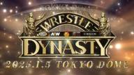 Wrestle dynasty