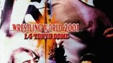 Wrestling world 2001