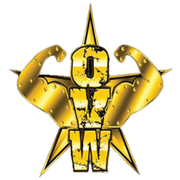 OVW Logo 2008