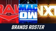WWE Current Roster by Brand (Raw, SmackDown, NXT)