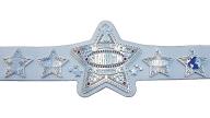 Wonder Of Stardom Championship Wonder Of Stardom Championship
