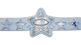 Wonder Of Stardom Championship Wonder Of Stardom Championship
