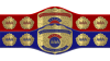 AAA World Mixed Tag Team Championship AAA World Mixed Tag Team Championship