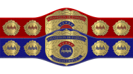 AAA Mixed Tag Team Championship AAA Mixed Tag Team Championship