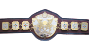 AJPW All Asia Tag Team Championship AJPW All Asia Tag Team Championship