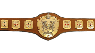 AJPW All Asia Tag Team Championship AJPW All Asia Tag Team Championship