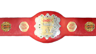 AJPW Gaora TV Championship AJPW Gaora TV Championship