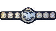 NWA International Tag Team Championship NWA International Tag Team Championship