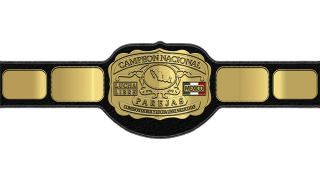Mexican National Tag Team Championship Mexican National Tag Team Championship